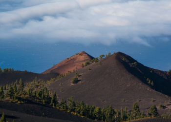 Tsunami, quais as chances de atingir o Brasil? Entenda!