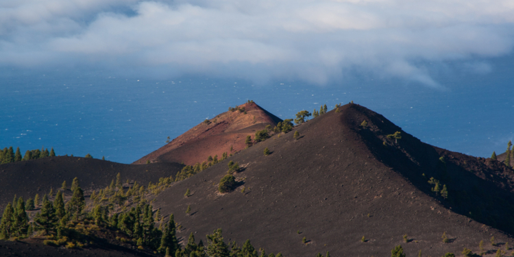 Tsunami, quais as chances de atingir o Brasil? Entenda!