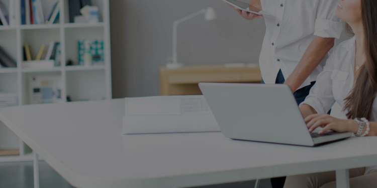 Studio Site Brasil Web Designer