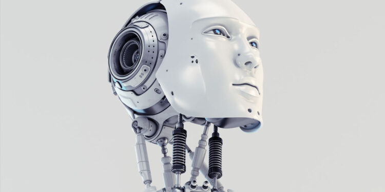 Perdi minhas fotos e documentos e agora?