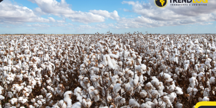 O que é Logística?