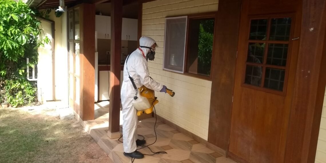 Cupim Control – Dedetizadora de pragas, controle de cupins e morcegos