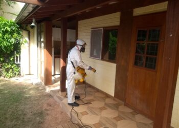 Cupim Control – Dedetizadora de pragas, controle de cupins e morcegos