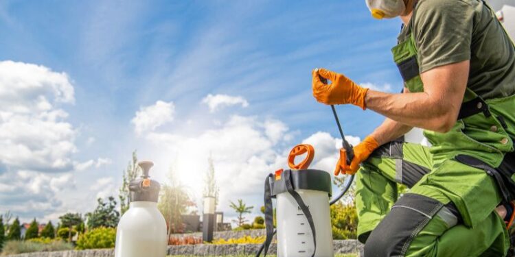 Quais as formas de se realizar uma dedetização de ambientes?