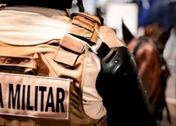 Santa Catarina: Roubos e Furtos em Queda Livre em 2025, Estado Consolida Segurança Recorde no Brasil