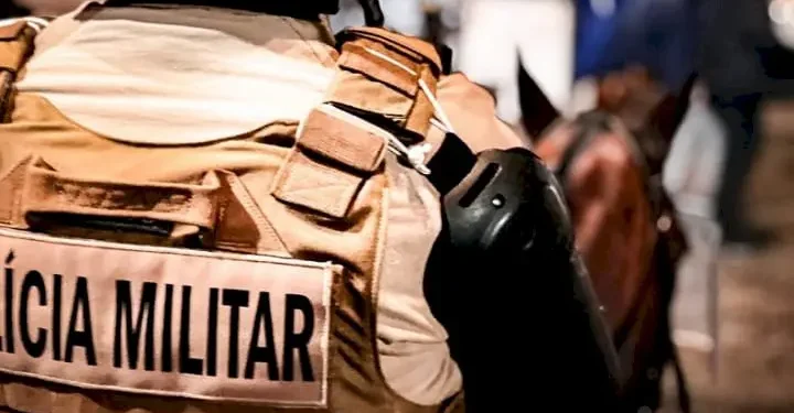 Santa Catarina: Roubos e Furtos em Queda Livre em 2025, Estado Consolida Segurança Recorde no Brasil