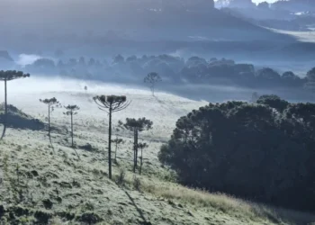 Geada em Pleno Verão no Brasil: São Joaquim (SC) Contracena com Calor e Atrai Turistas em Busca de Clima Ameno e Negócios Lucrativos