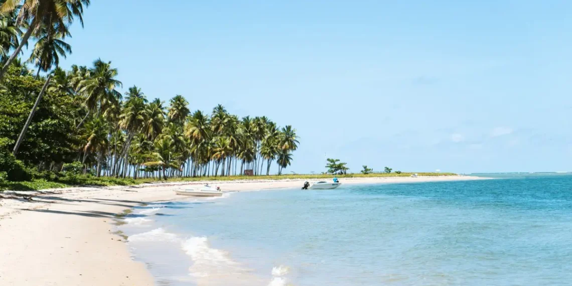 As Melhores Praias do Brasil em 2025: Descubra o Paraíso Brasileiro e Vote na Sua Favorita!