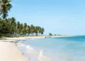 As Melhores Praias do Brasil em 2025: Descubra o Paraíso Brasileiro e Vote na Sua Favorita!