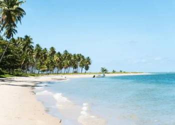 As Melhores Praias do Brasil em 2025: Descubra o Paraíso Brasileiro e Vote na Sua Favorita!
