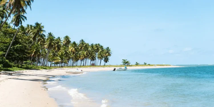 As Melhores Praias do Brasil em 2025: Descubra o Paraíso Brasileiro e Vote na Sua Favorita!