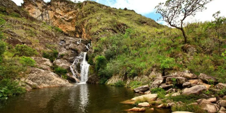 Serra do Cipó: O Tesouro Brasileiro de Espécies Únicas Ameaçado pelo Clima e Atividades Humanas