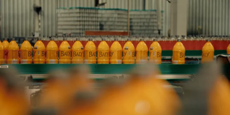 Baly Brasil Acelera Expansão: Nova Fábrica em SC Impulsiona Portfólio e Cria Milhares de Empregos