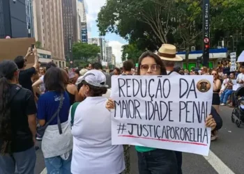 MP Pede Exumação do Cão Orelha em Santa Catarina: Novas Investigações e Dúvidas no Caso de Crueldade Animal