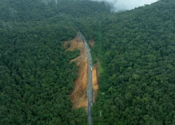 Serra Dona Francisca: Primeiras Áreas de Escape de SC Prometem Salvar Vidas e Reduzir Acidentes Graves em Trecho Perigoso