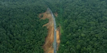 Serra Dona Francisca: Primeiras Áreas de Escape de SC Prometem Salvar Vidas e Reduzir Acidentes Graves em Trecho Perigoso