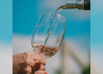 Vinhos de Altitude em SC: Como o frio intenso e a tecnologia transformam a Serra Catarinense em polo vitivinícola de luxo e impulsionam o turismo