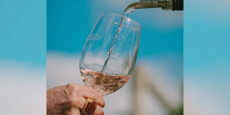 Vinhos de Altitude em SC: Como o frio intenso e a tecnologia transformam a Serra Catarinense em polo vitivinícola de luxo e impulsionam o turismo