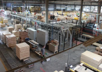 Madeira Maciça de SC Busca Selo IG: Tradição Centenária de São Bento do Sul Ganha Proteção Contra Imitações