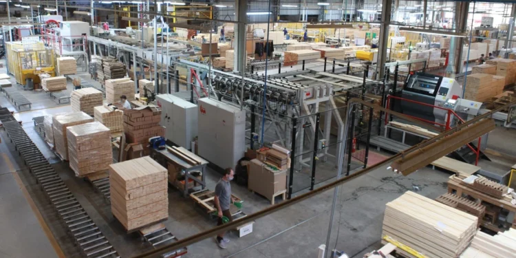 Madeira Maciça de SC Busca Selo IG: Tradição Centenária de São Bento do Sul Ganha Proteção Contra Imitações