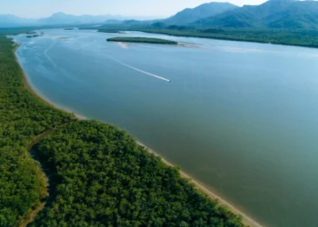 Pantanal do Sul: O Rio Palmital em Garuva que Encanta Turistas com Manguezais e Pesca de Robalo