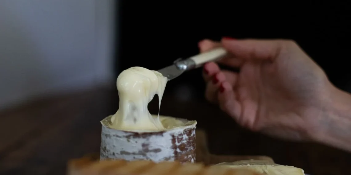 Queijo Morro Azul: A Joia Catarinense Eleita Entre os Melhores do Mundo e Conquistando Paladares Internacionais