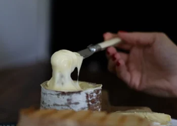 Queijo Morro Azul: A Joia Catarinense Eleita Entre os Melhores do Mundo e Conquistando Paladares Internacionais