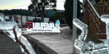 Urupema, a Capital do Frio no Brasil: Como Neve e Geada Viram Oportunidade de Negócio Lucrativo