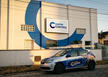 Invasão Silenciosa: Especialistas de SC Alertam para o Aumento de Infestações de Cupins