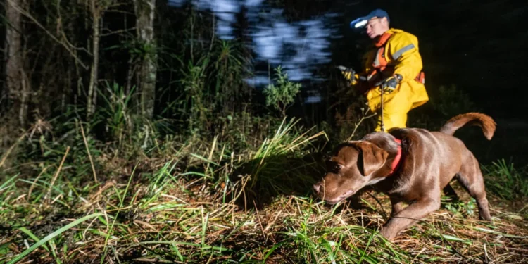 Heróis de Quatro Patas: Cães que Salvam Vidas no Brasil Se Aposentam Após Missões Incríveis