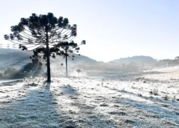 Urupema, SC: Conheça a Cidade Mais Fria do Brasil que Virou Destino Turístico de Inverno com Geadas e Temperaturas Abaixo de -5°C
