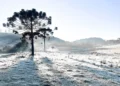 Urupema, a Capital Nacional do Frio, se Prepara para o Inverno: Geada, Neve e Paisagens Europeias Atraem Turistas