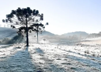 Urupema, a Capital Nacional do Frio, se Prepara para o Inverno: Geada, Neve e Paisagens Europeias Atraem Turistas