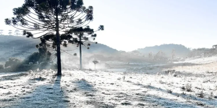 Urupema, a Capital Nacional do Frio, se Prepara para o Inverno: Geada, Neve e Paisagens Europeias Atraem Turistas