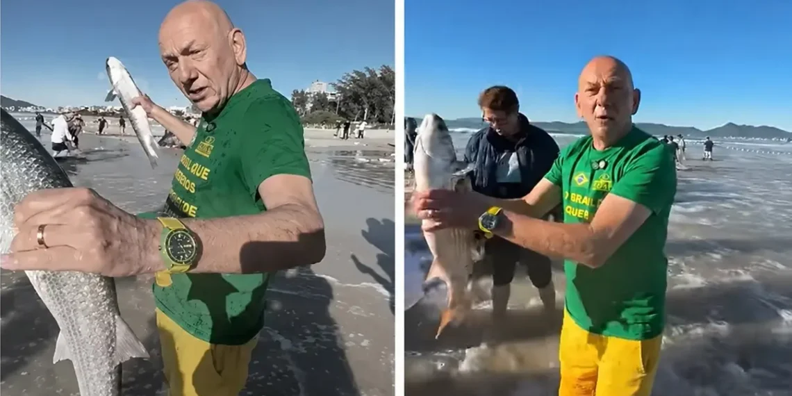Arrasto da Tainha em SC: Fim Prematuro da Temporada Gera Polêmica e Mobiliza Luciano Hang e Governo Federal