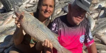 Governo Federal Amplia Cota da Pesca da Tainha em SC Após Protestos: Entenda o Que Mudou e o Impacto para Pescadores