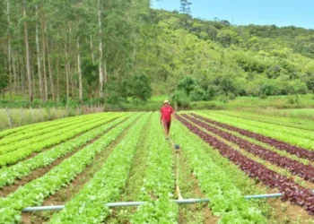 SC Rural 2: Governo de SC libera R$ 750 milhões para impulsionar renda no campo e pesca com crédito externo do Banco Mundial