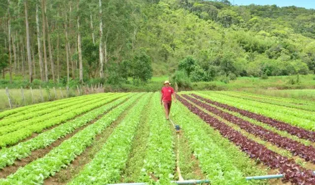 SC Rural 2: Governo de SC libera R$ 750 milhões para impulsionar renda no campo e pesca com crédito externo do Banco Mundial