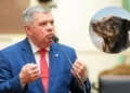 Lei Orelha Aprovada em SC: Aumenta Pena para Maus-Tratos a Animais por Menores, Deputado Pressiona por CPI do Caso