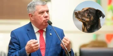 Lei Orelha Aprovada em SC: Aumenta Pena para Maus-Tratos a Animais por Menores, Deputado Pressiona por CPI do Caso