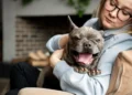 Santa Catarina: Projeto de Lei propõe rede de voluntários para cuidar de pets de pacientes internados e sem amparo