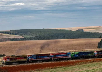 Malha Sul Ferroviária: Santa Catarina Alerta Para Perda de 41% da Rede e Isolamento de Regiões Produtoras com Plano de Fatiamento da União