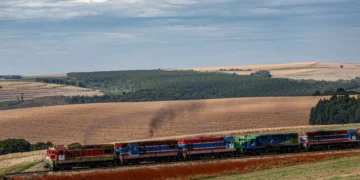 Malha Sul Ferroviária: Santa Catarina Alerta Para Perda de 41% da Rede e Isolamento de Regiões Produtoras com Plano de Fatiamento da União