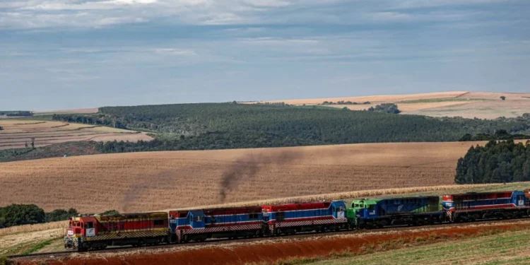 Malha Sul Ferroviária: Santa Catarina Alerta Para Perda de 41% da Rede e Isolamento de Regiões Produtoras com Plano de Fatiamento da União