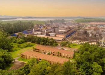 Santa Catarina: De Núcleos de Imigração a Potência Econômica Global, Descubra o Segredo do Sucesso e os Desafios para o Futuro