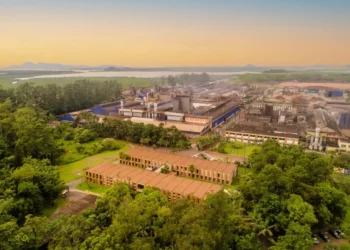Santa Catarina: De Colônia de Pesca a Potência Industrial em 500 Anos, Entenda a Revolução Econômica
