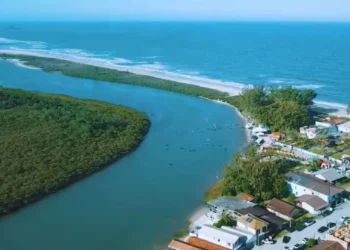 Itapoá lança edital para comprar áreas verdes de Mata Atlântica e criar novas unidades de conservação