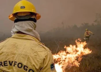 Fumaça dos Incêndios no Amazonas Paralisa Voos de Combate ao Fogo, Dificultando o Trabalho de Brigadistas e Agravando Crise Ambiental