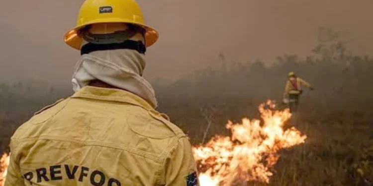 Fumaça dos Incêndios no Amazonas Paralisa Voos de Combate ao Fogo, Dificultando o Trabalho de Brigadistas e Agravando Crise Ambiental