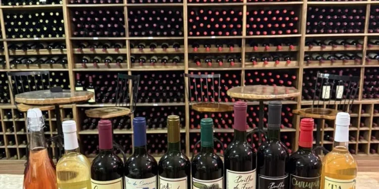Açaí Amazônico Vira “Vinho” Artesanal e Conquista Paladares pelo Brasil com Apoio da Embrapa
